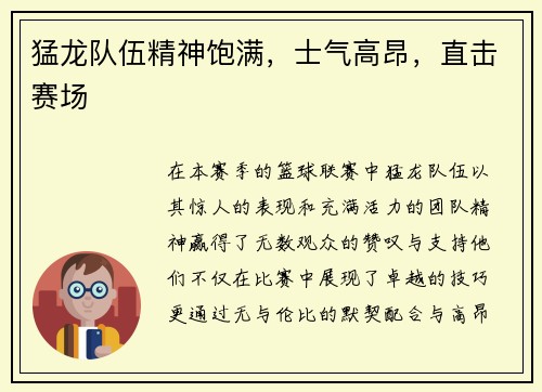 猛龙队伍精神饱满，士气高昂，直击赛场